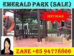 Emerald Park (D3), Condominium #38518812